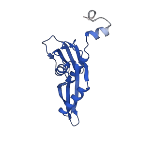 15116_8a3l_E_v1-0
Structural insights into the binding of bS1 to the ribosome
