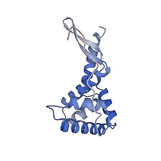 15116_8a3l_G_v1-0
Structural insights into the binding of bS1 to the ribosome