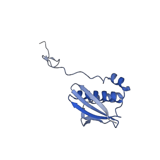 15116_8a3l_I_v1-0
Structural insights into the binding of bS1 to the ribosome