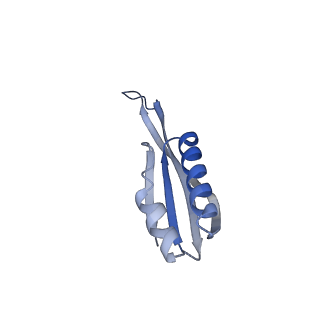 15116_8a3l_J_v1-0
Structural insights into the binding of bS1 to the ribosome