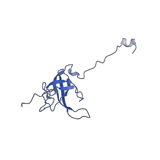 15116_8a3l_L_v1-0
Structural insights into the binding of bS1 to the ribosome