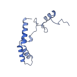 15116_8a3l_N_v1-0
Structural insights into the binding of bS1 to the ribosome