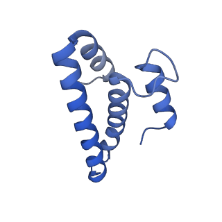 15116_8a3l_O_v1-0
Structural insights into the binding of bS1 to the ribosome