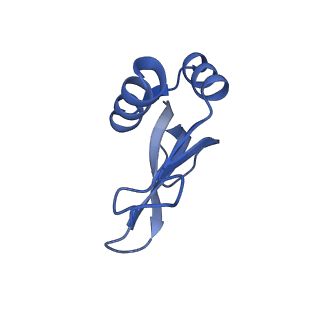 15116_8a3l_P_v1-0
Structural insights into the binding of bS1 to the ribosome