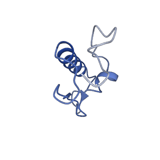 15116_8a3l_R_v1-0
Structural insights into the binding of bS1 to the ribosome