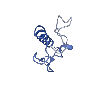 15116_8a3l_R_v2-0
Structural insights into the binding of bS1 to the ribosome