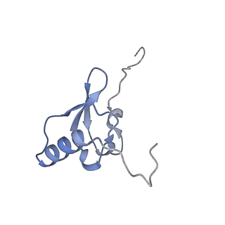 15116_8a3l_S_v1-0
Structural insights into the binding of bS1 to the ribosome