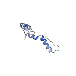 15116_8a3l_U_v1-0
Structural insights into the binding of bS1 to the ribosome