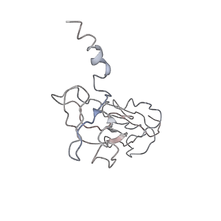 15116_8a3l_Y_v1-0
Structural insights into the binding of bS1 to the ribosome