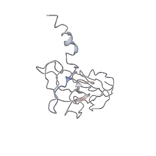 15116_8a3l_Y_v2-0
Structural insights into the binding of bS1 to the ribosome