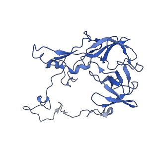 15116_8a3l_c_v1-0
Structural insights into the binding of bS1 to the ribosome