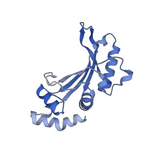 15116_8a3l_f_v1-0
Structural insights into the binding of bS1 to the ribosome