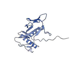 15116_8a3l_g_v1-0
Structural insights into the binding of bS1 to the ribosome