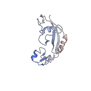 15116_8a3l_h_v1-0
Structural insights into the binding of bS1 to the ribosome