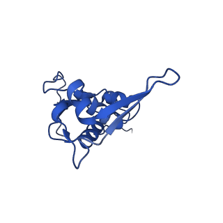 15116_8a3l_i_v1-0
Structural insights into the binding of bS1 to the ribosome