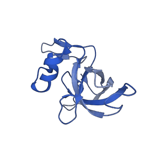 15116_8a3l_j_v1-0
Structural insights into the binding of bS1 to the ribosome