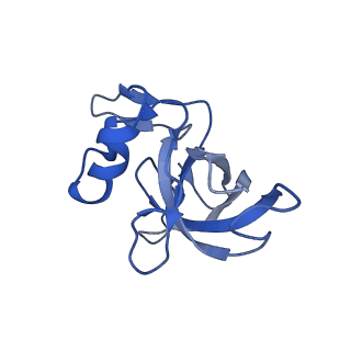 15116_8a3l_j_v2-0
Structural insights into the binding of bS1 to the ribosome