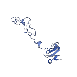 15116_8a3l_k_v1-0
Structural insights into the binding of bS1 to the ribosome