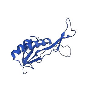 15116_8a3l_l_v1-0
Structural insights into the binding of bS1 to the ribosome