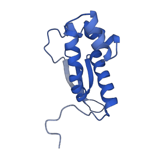 15116_8a3l_m_v1-0
Structural insights into the binding of bS1 to the ribosome