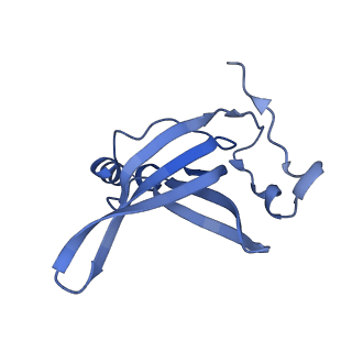 15116_8a3l_o_v1-0
Structural insights into the binding of bS1 to the ribosome