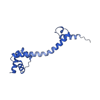 15116_8a3l_p_v1-0
Structural insights into the binding of bS1 to the ribosome
