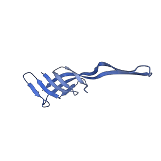 15116_8a3l_q_v1-0
Structural insights into the binding of bS1 to the ribosome