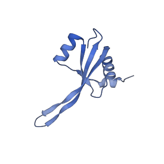15116_8a3l_s_v1-0
Structural insights into the binding of bS1 to the ribosome