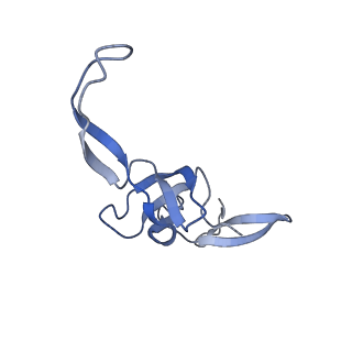 15116_8a3l_t_v1-0
Structural insights into the binding of bS1 to the ribosome