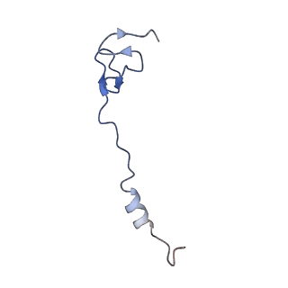 15116_8a3l_z_v1-0
Structural insights into the binding of bS1 to the ribosome