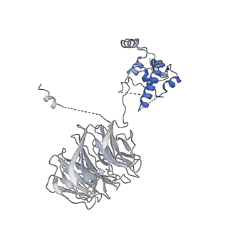 15123_8a3t_B_v1-0
S. cerevisiae APC/C-Cdh1 complex