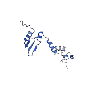 15123_8a3t_I_v1-0
S. cerevisiae APC/C-Cdh1 complex