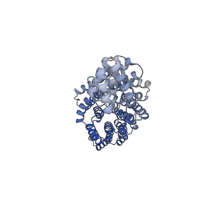 15123_8a3t_K_v1-0
S. cerevisiae APC/C-Cdh1 complex