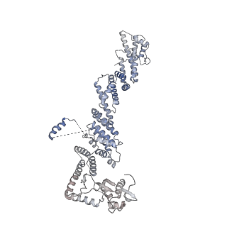 15123_8a3t_T_v1-0
S. cerevisiae APC/C-Cdh1 complex