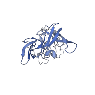 15124_8a3w_A_v1-0
CRYO-EM STRUCTURE OF LEISHMANIA MAJOR 80S RIBOSOME : WILD TYPE
