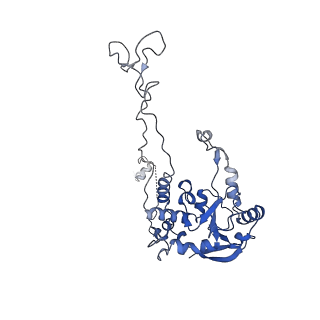 15124_8a3w_C_v1-0
CRYO-EM STRUCTURE OF LEISHMANIA MAJOR 80S RIBOSOME : WILD TYPE