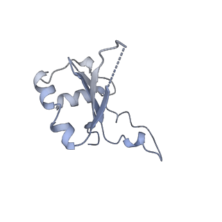 15124_8a3w_D_v1-0
CRYO-EM STRUCTURE OF LEISHMANIA MAJOR 80S RIBOSOME : WILD TYPE