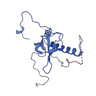 15124_8a3w_F_v1-0
CRYO-EM STRUCTURE OF LEISHMANIA MAJOR 80S RIBOSOME : WILD TYPE