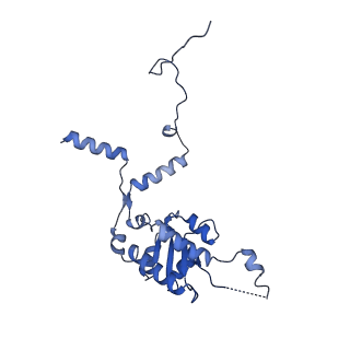15124_8a3w_G_v1-0
CRYO-EM STRUCTURE OF LEISHMANIA MAJOR 80S RIBOSOME : WILD TYPE