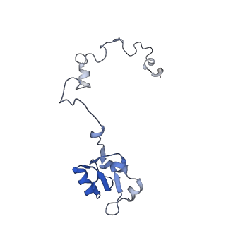 15124_8a3w_L_v1-0
CRYO-EM STRUCTURE OF LEISHMANIA MAJOR 80S RIBOSOME : WILD TYPE