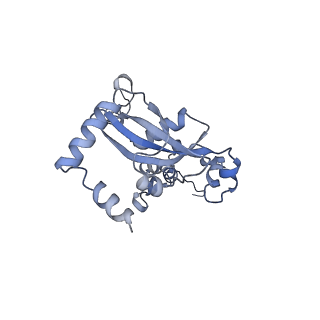 15124_8a3w_M_v1-0
CRYO-EM STRUCTURE OF LEISHMANIA MAJOR 80S RIBOSOME : WILD TYPE