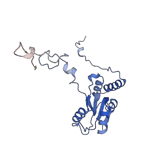 15124_8a3w_P_v1-0
CRYO-EM STRUCTURE OF LEISHMANIA MAJOR 80S RIBOSOME : WILD TYPE