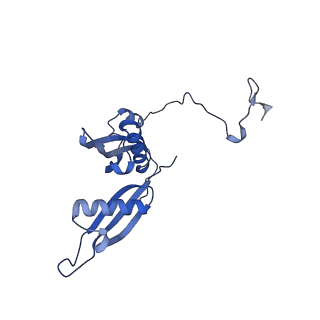 15124_8a3w_R_v1-0
CRYO-EM STRUCTURE OF LEISHMANIA MAJOR 80S RIBOSOME : WILD TYPE