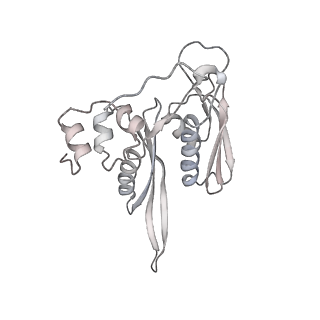 15124_8a3w_SF_v1-0
CRYO-EM STRUCTURE OF LEISHMANIA MAJOR 80S RIBOSOME : WILD TYPE