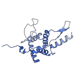 15124_8a3w_SH_v1-0
CRYO-EM STRUCTURE OF LEISHMANIA MAJOR 80S RIBOSOME : WILD TYPE