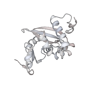 15124_8a3w_SI_v1-0
CRYO-EM STRUCTURE OF LEISHMANIA MAJOR 80S RIBOSOME : WILD TYPE