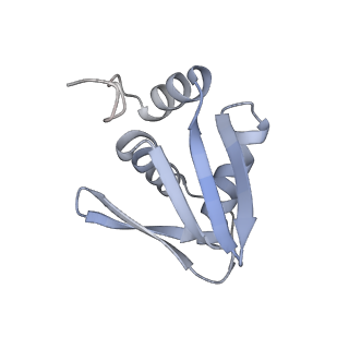 15124_8a3w_SN_v1-0
CRYO-EM STRUCTURE OF LEISHMANIA MAJOR 80S RIBOSOME : WILD TYPE