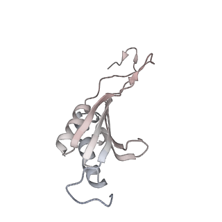 15124_8a3w_SO_v1-0
CRYO-EM STRUCTURE OF LEISHMANIA MAJOR 80S RIBOSOME : WILD TYPE