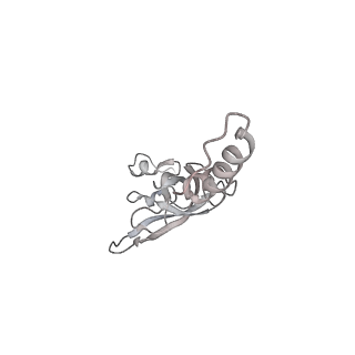 15124_8a3w_SP_v1-0
CRYO-EM STRUCTURE OF LEISHMANIA MAJOR 80S RIBOSOME : WILD TYPE