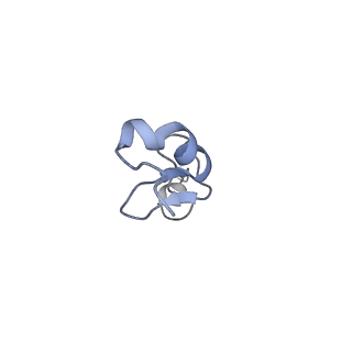 15124_8a3w_SS_v1-0
CRYO-EM STRUCTURE OF LEISHMANIA MAJOR 80S RIBOSOME : WILD TYPE